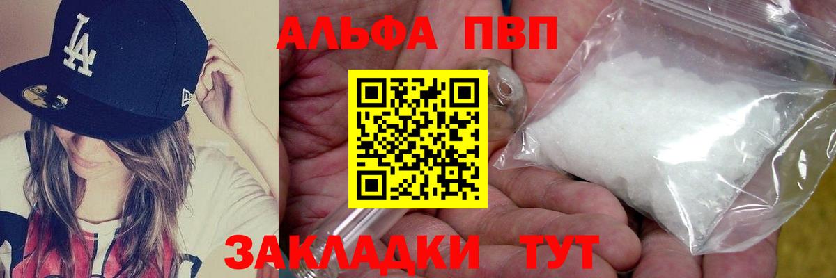 Альфа ПВП СК Ачхой-Мартан