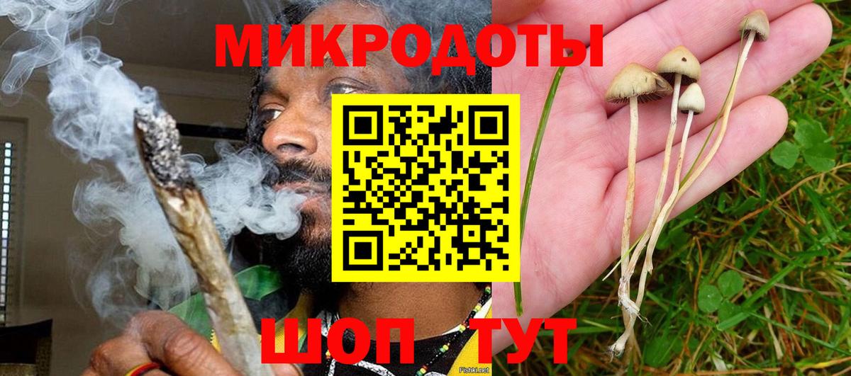 Галлюциногенные грибы ЛСД Ачхой-Мартан