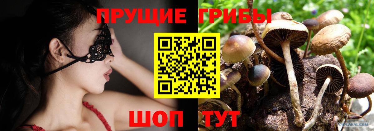 Галлюциногенные грибы ЛСД  Вход с VPN  Ачхой-Мартан 